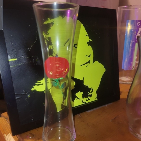 Clearly a roze Garden Glass vases - Picture 8 of 8